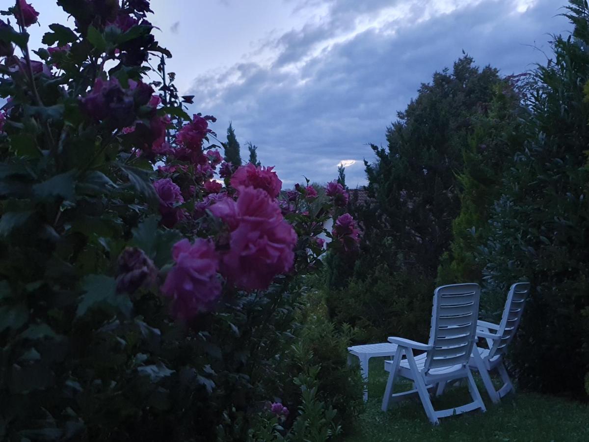 Villa Maja Маркдорф Екстер'єр фото